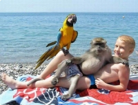 Ảnh vui: Dáng ngồi bá đạo của khỉ
