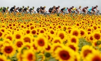 Tour de France 2014 và những khoảnh khắc đẹp