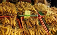 5 chợ nhân sâm và nấm linh chi lớn nhất Hàn Quốc