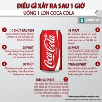 1 lon Coca Cola đã làm gì với cơ thể bạn trong 1 giờ ?!