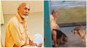 Cụ ông 67 tuổi bị bắt vì 'cưỡng hiếp' 30 con chó hoang bằng thủ đoạn không ai ngờ