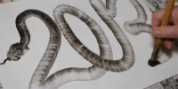 Vẽ con rắn 2013 chỉ bằng một nét