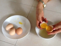 Trứng gà 2 lòng đỏ tại Sài Gòn