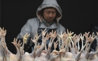 Trung Quốc: Bắt kho chân gà được bảo quản từ năm 1967