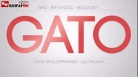 GATO - Binz ft. Rhymastic & BigDaddy