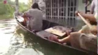 Người Sài Gòn chèo ghe, bắt cá trong triều cường lịch sử