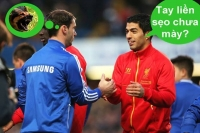 Ảnh chế Ivanovic trốn Suarez, Webb về Chelsea