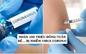 Việc nhẹ lương cao: Nhận hơn 100 triệu đồng/tuần để bị nhiễm virus corona!