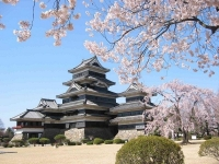 Ghé thăm lâu đài với giếng nước ma ám 'gai người' ở Nhật Bản