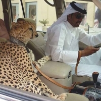 Dân chơi Dubai và thú chơi không tưởng :D