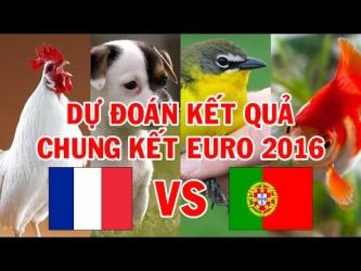 Gà, Chó, Chim, Cá Dự Đoán Kết Quả Chung Kết EURO 2016