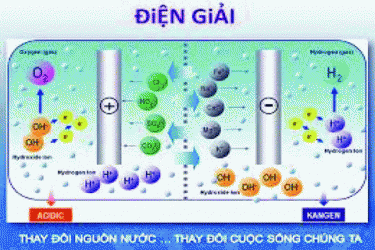 Nước Kangen, phương pháp mới trong bảo vệ sức khỏe