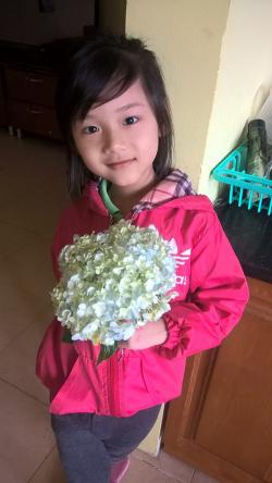 Di nguyện 'làm đẹp cho đời' của bé gái 7 tuổi hiến giác mạc
