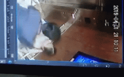 Clip: Người đàn ông ôm hôn bé gái trong thang máy chung cư gây phẫn nộ