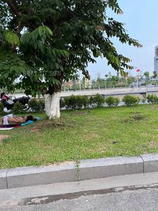 Cặp đôi ăn mặc hở hang nằm ôm ấp nhau giữa bãi cỏ công cộng